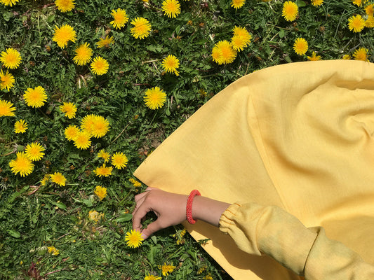 Herbs for Allergy Season