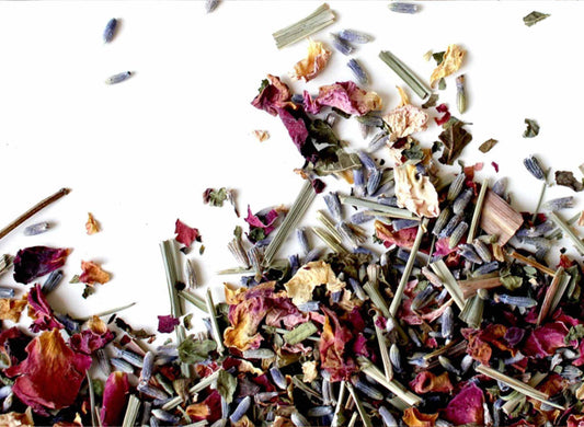 Build your immunity with easy to use medicinal plants