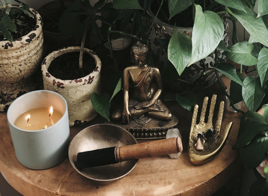 My Plant Life with NY-Based Creative Brigette Muller