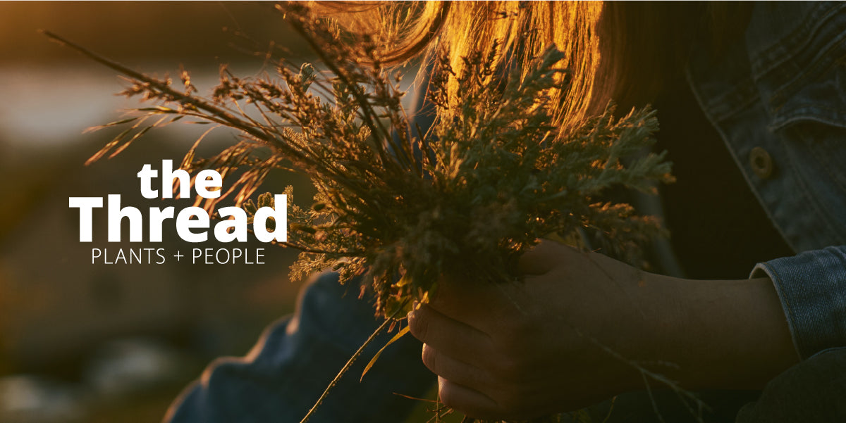 the Thread, Plants + People