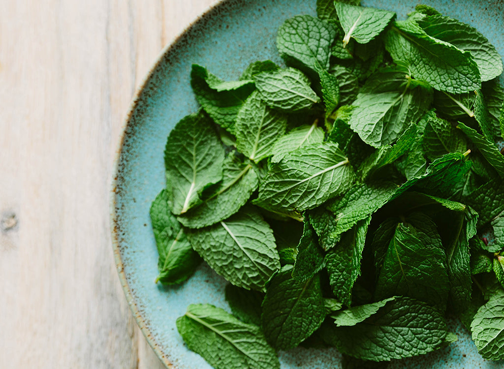Plants With Benefits: Mint Edition