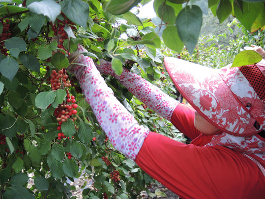 The Secret Every High-Performing Athlete Should Know About (Schisandra Berries)