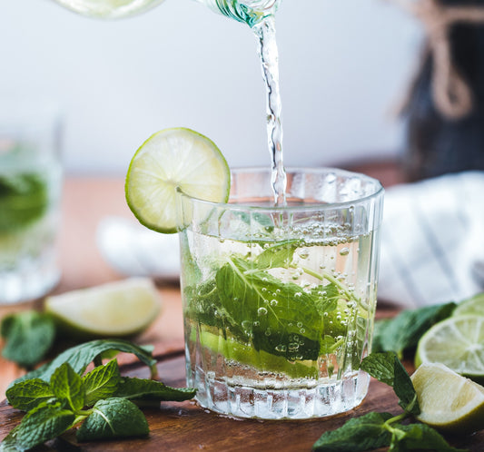 Plants With Benefits: Mint Edition