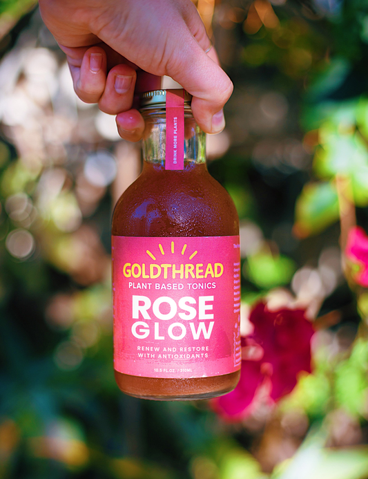 Hand holding Goldthread Rose Glow Tonic