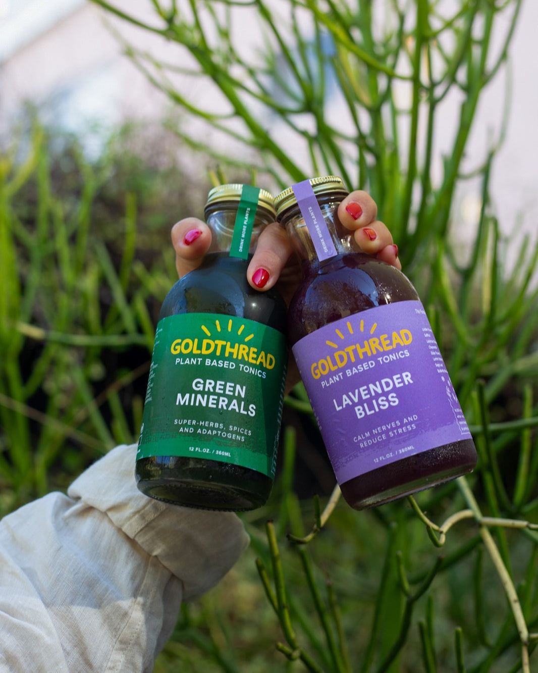 Goldthread Tonics: Plant Based Herbal Tonics