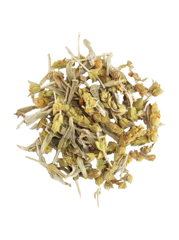Greek Mountain Tea