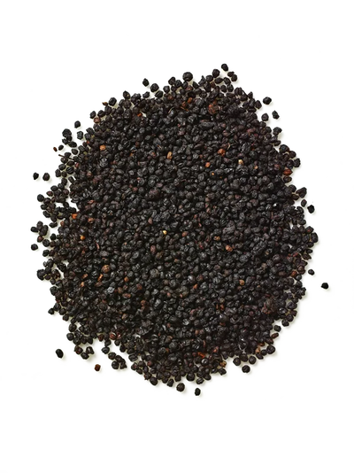 Elderberry