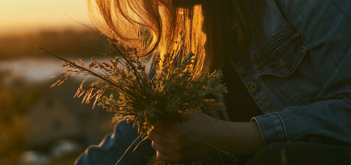 The Thread – Goldthread Tonics