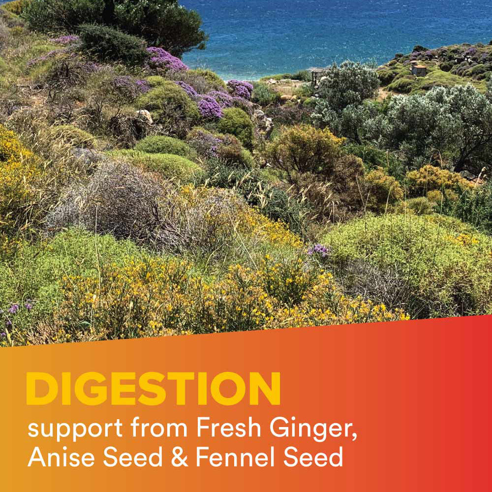 Text: digestion support from fresh ginger, anise seed & fennel seed; image: Hawaiian coast