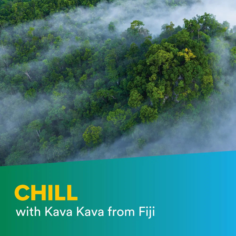 text: Chill with Kava Kava from Fiji; image: forest in Fiji covered in fog